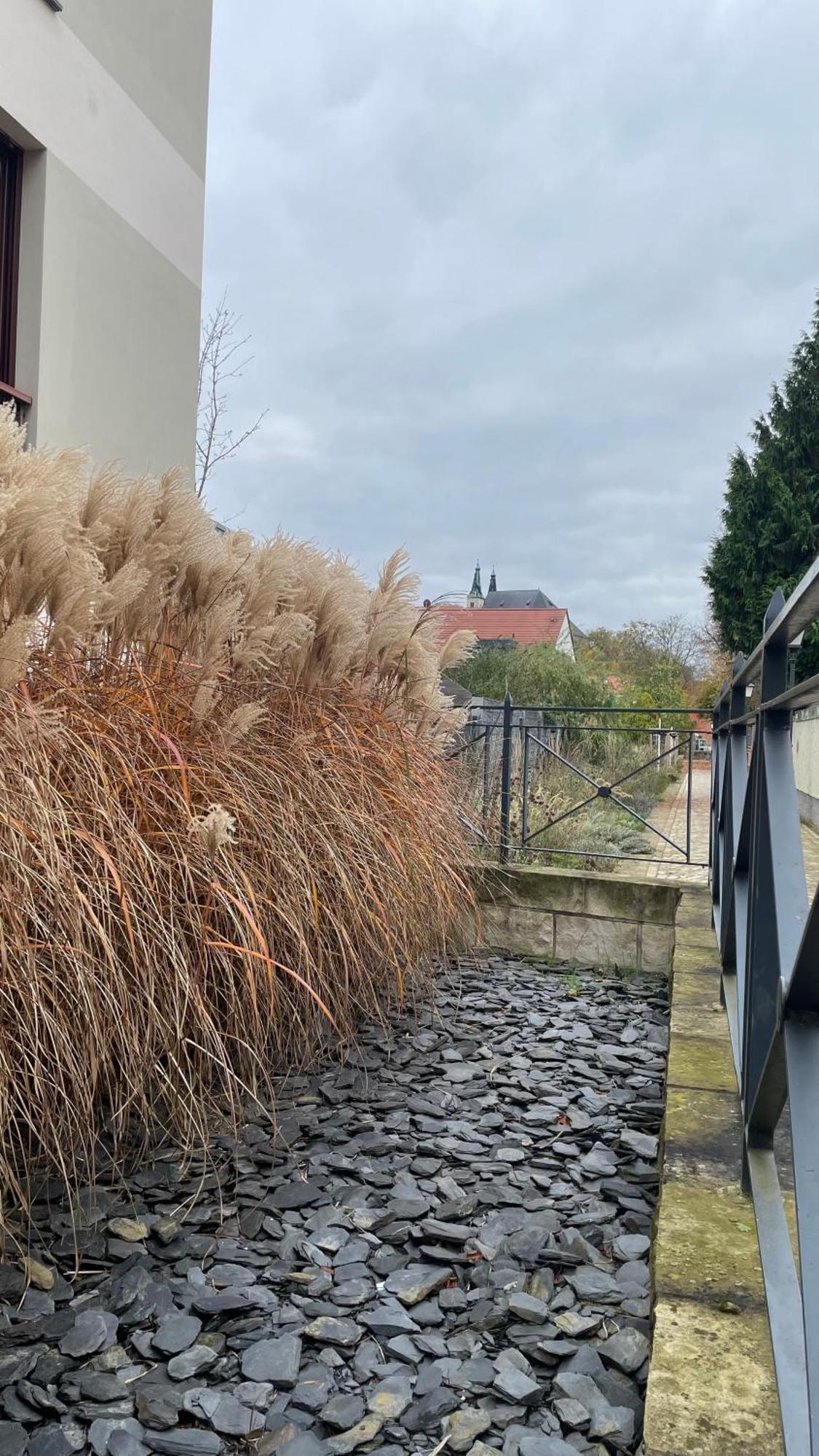 Neu! Oasis - Fewo Am Harz, Hochwertig Kernsaniert, 83 Qm, Eg Nordhausen Exterior foto